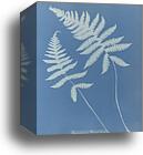 Polypodium phegopteris, British by Anna Atkins, Canvas Print