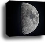 The 8 day old first quarter moon by Alan Dyer/Stocktrek Images, Canvas Print