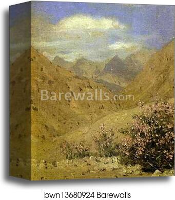 Roses in Ladakh by Vasily Vereshchagin, Canvas Print
