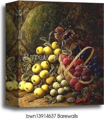 Apples, Plums, Raspberries and Grapes by George Clare, Canvas Print