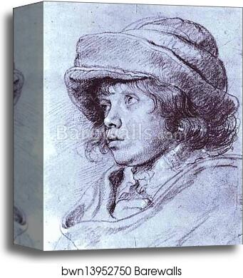 Portrait of Nicholas Rubens by Peter Paul Rubens, Canvas Print Portrait of Nicholas Rubens by Peter Paul Rubens, Canvas Print