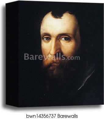 Portrait of Luca Martini. Detail by Agnolo Bronzino, Canvas Print