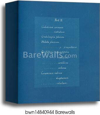 Contents list by Anna Atkins, Canvas Print