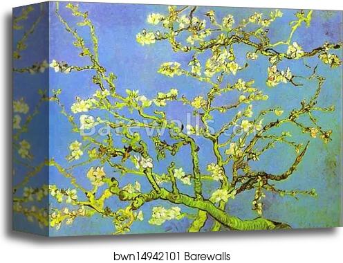 Branches of Almond tree in Bloom. Saint-Rémy by Vincent Van Gogh, Canvas Print