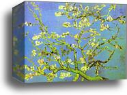 Branches of Almond tree in Bloom. Saint-Rémy by Vincent Van Gogh, Canvas Print