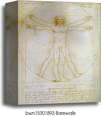The Proportions of the Human Figure (Vitruvian Man) by Leonardo Da Vinci, Canvas Print