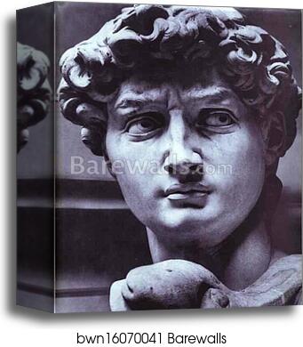David. Detail by Michelangelo, Canvas Print