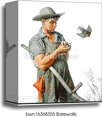 Farmer and Birds by Norman Rockwell, Canvas Print
