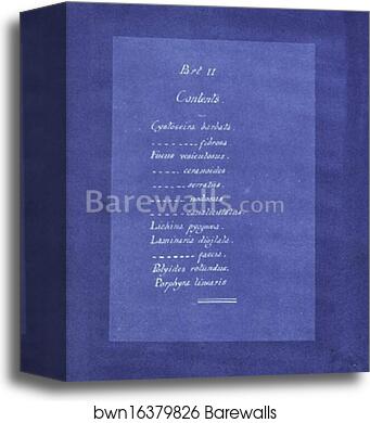 Contents list by Anna Atkins, Canvas Print