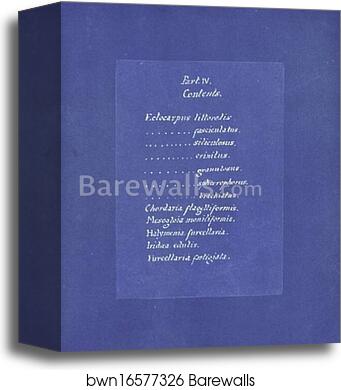 Contents list by Anna Atkins, Canvas Print