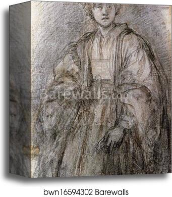 Study for a Portrait of a Youth by Jacopo Carrucci, Known As Pontormo, Canvas Print Study for a Portrait of a Youth by Jacopo Carrucci, Known As Pontormo, Canvas Print