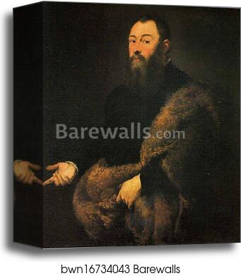 Portrait of a Genleman in a Fur by Jacopo Robusti, Called Tintoretto, Canvas Print Portrait of a Genleman in a Fur by Jacopo Robusti, Called Tintoretto, Canvas Print