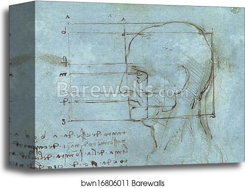 Proportions of the Head (c. 1488 - 1489) by Leonardo Da Vinci, Canvas Print Proportions of the Head (c. 1488 - 1489) by Leonardo Da Vinci, Canvas Print