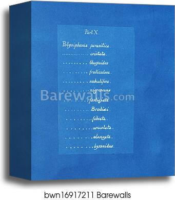 Contents list by Anna Atkins, Canvas Print