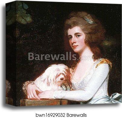 Miss Sarah Rodbard. Detail by George Romney, Canvas Print