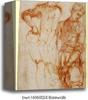 Study of a Youth Pouring from a Jug by Jacopo Carrucci, Known As Pontormo, Canvas Print Study of a Youth Pouring from a Jug by Jacopo Carrucci, Known As Pontormo, Canvas Print