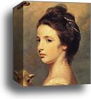 Lady Mary Leslie. Detail by Sir Joshua Reynolds, Canvas Print