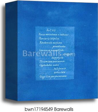 Contents list by Anna Atkins, Canvas Print