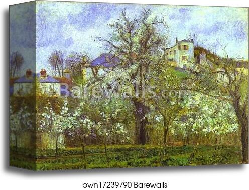Vegetable Garden and Trees in Blossom, Spring, Pontoise by Camille Pissarro, Canvas Print Vegetable Garden and Trees in Blossom, Spring, Pontoise by Camille Pissarro, Canvas Print