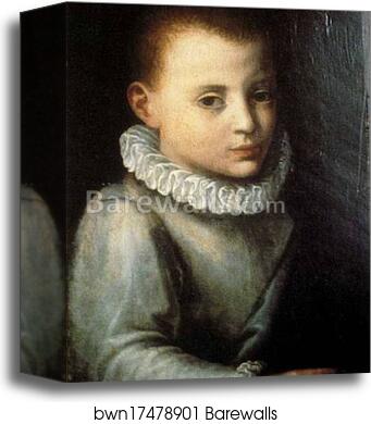 Portrait of Asdrubale Anguissola by Sofonisba Anguissola, Canvas Print Portrait of Asdrubale Anguissola by Sofonisba Anguissola, Canvas Print