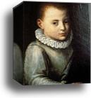 Portrait of Asdrubale Anguissola by Sofonisba Anguissola, Canvas Print