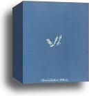 Hymenophyllum Wilsonii, British by Anna Atkins, Canvas Print