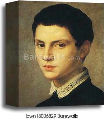 Portrait of Young Sculptor (sometimes known as The Amateur of Sculpture). Detail by Agnolo Bronzino, Canvas Print