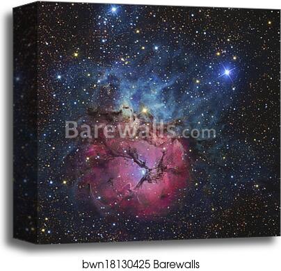 The Trifid Nebula by R Jay Gabany/Stocktrek Images, Canvas Print The Trifid Nebula by R Jay Gabany/Stocktrek Images, Canvas Print