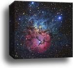 The Trifid Nebula by R Jay Gabany/Stocktrek Images, Canvas Print