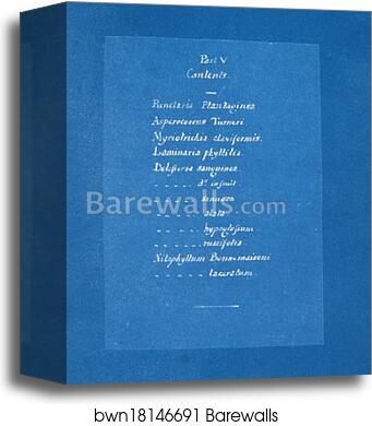 Contents list by Anna Atkins, Canvas Print