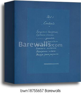 Contents list by Anna Atkins, Canvas Print
