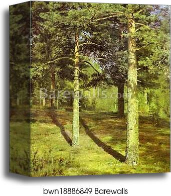 Pine-Trees Lit Up by the Sun by Ivan Shishkin, Canvas Print