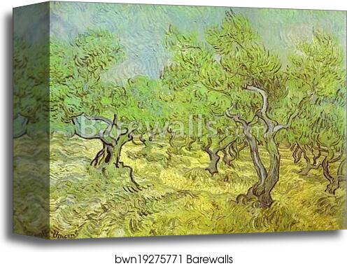 Olive Orchard. Saint-Rémy by Vincent Van Gogh, Canvas Print