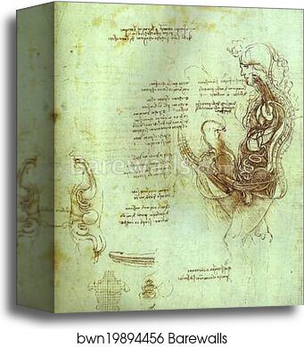 Coition of Hemisected Man and Woman by Leonardo Da Vinci, Canvas Print