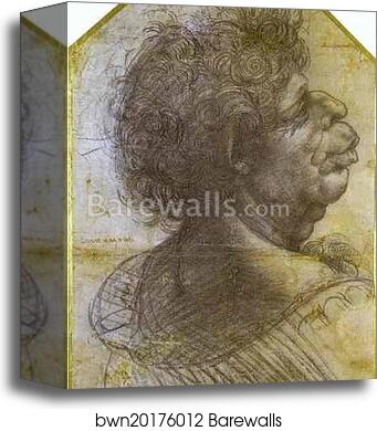 Grotesque Portrait Study of Man by Leonardo Da Vinci, Canvas Print Grotesque Portrait Study of Man by Leonardo Da Vinci, Canvas Print