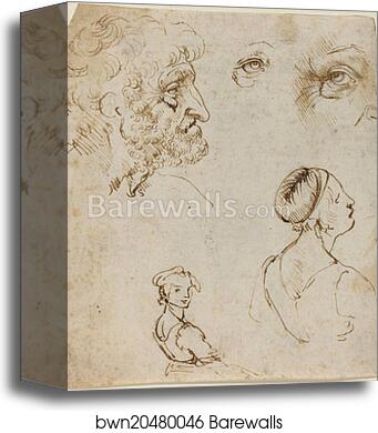 Sheet of Studies [recto] by Leonardo Da Vinci, Canvas Print