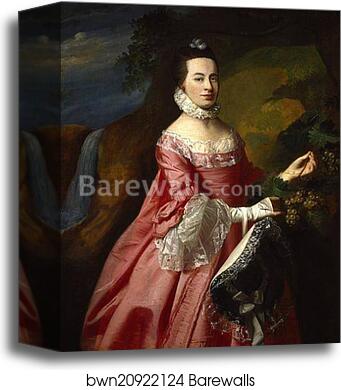 Mrs Duncan Stewart (Anne Erving) by John Singleton Copley, Canvas Print