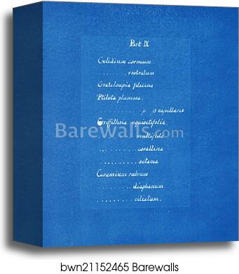 Contents list by Anna Atkins, Canvas Print