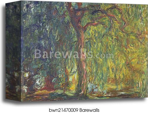 Weeping Willow by Claude Monet, Canvas Print