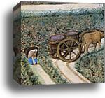 Les trÄ�s riches heures du Duc de Berry. September. Château de Saumur. Detail by Limbourg Brothers, Canvas Print