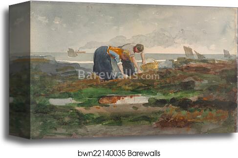 The Mussel Gatherers by Winslow Homer, Canvas Print