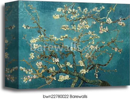 Almond Blossoms by Vincent Van Gogh, Canvas Print