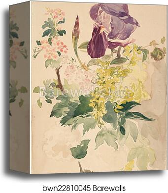 Flower Piece with Iris, Laburnum, and Geranium, 1880 by Édouard Manet, Canvas Print