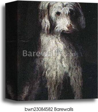 Portrait of Amilcare, Minerva and Asdrubale Anguissola. Detail by Sofonisba Anguissola, Canvas Print Portrait of Amilcare, Minerva and Asdrubale Anguissola. Detail by Sofonisba Anguissola, Canvas Print