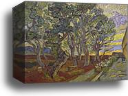 The garden of Saint Paul's Hospital by Vincent Van Gogh, Canvas Print