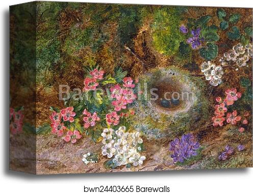 Still Life of Blossoms and Bird's Nest by George Clare, Canvas Print