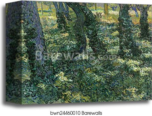 Undergrowth by Vincent Van Gogh, Canvas Print