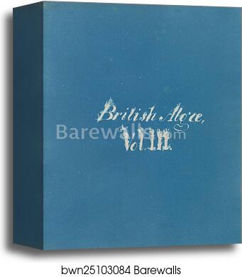 British Algae, Vol. III [title page] by Anna Atkins, Canvas Print