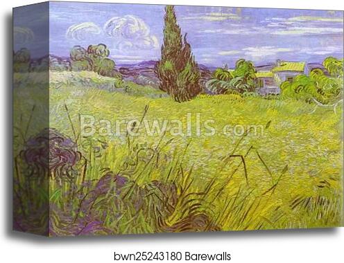 Green Wheat Field with Cypress. Saint-Rémy by Vincent Van Gogh, Canvas Print