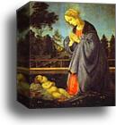 The Adoration of the Child by Filippino Lippi, Canvas Print